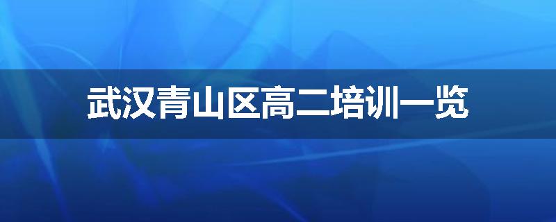 武汉青山区高二培训一览
