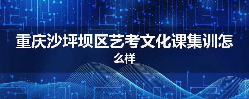 重庆沙坪坝区艺考文化课集训怎么样