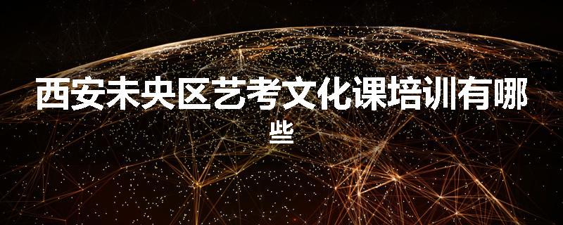 西安未央区艺考文化课培训有哪些