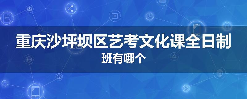 重庆沙坪坝区艺考文化课全日制班有哪个
