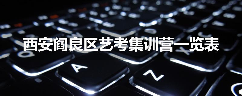 西安阎良区艺考集训营一览表