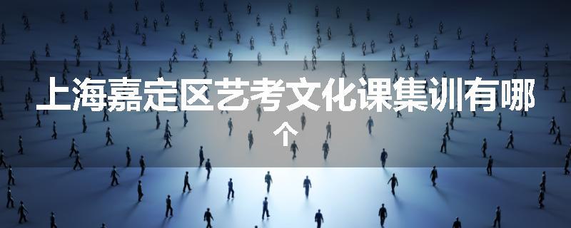 上海嘉定区艺考文化课集训有哪个