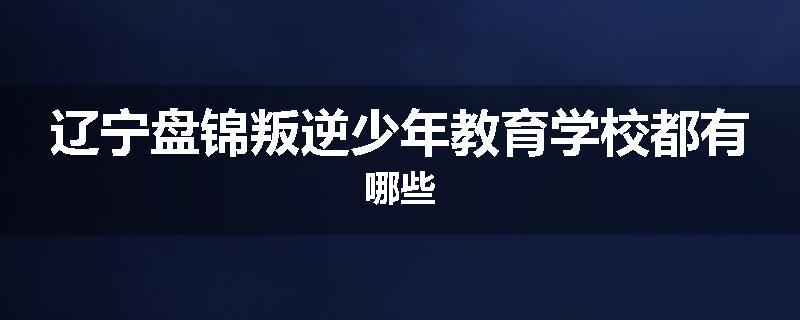 辽宁盘锦叛逆少年教育学校都有哪些