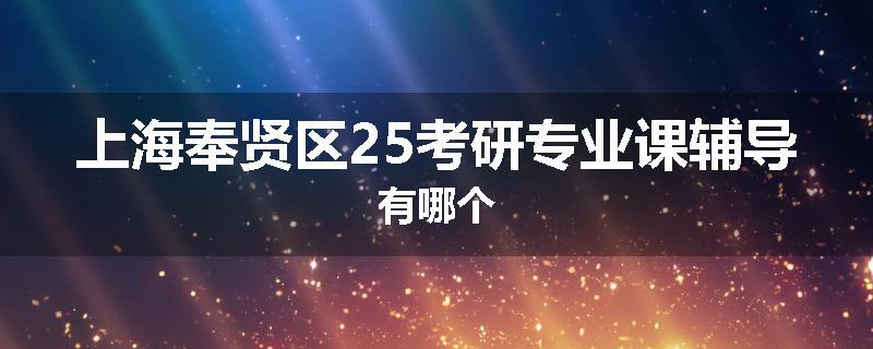 上海奉贤区25考研专业课辅导有哪个