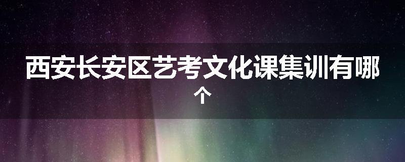 西安长安区艺考文化课集训有哪个