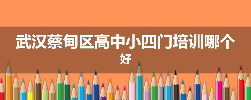 武汉蔡甸区高中小四门培训哪个好