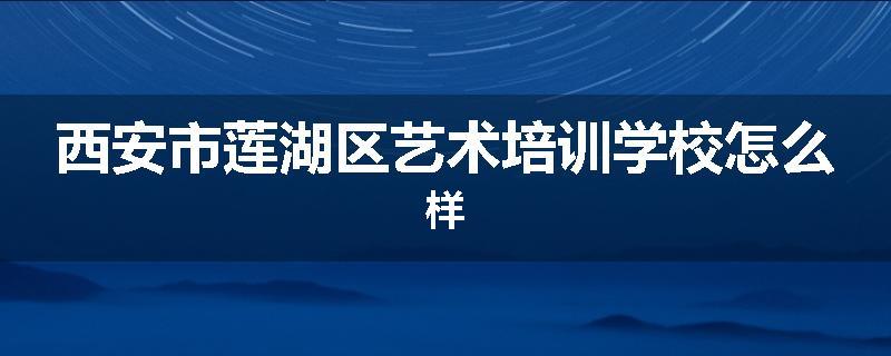西安市莲湖区艺术培训学校怎么样