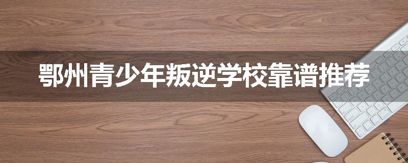 鄂州青少年叛逆学校靠谱推荐