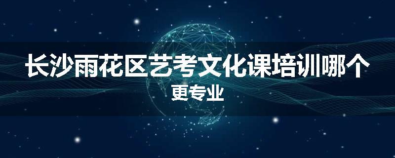 长沙雨花区艺考文化课培训哪个更专业