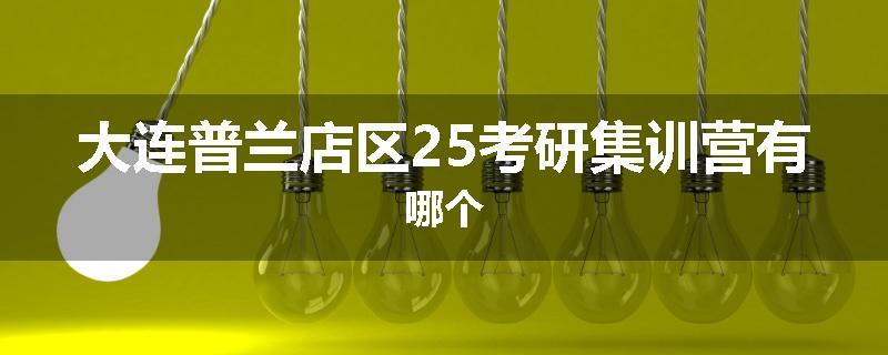 大连普兰店区25考研集训营有哪个