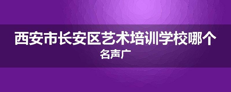 西安市长安区艺术培训学校哪个名声广