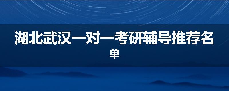 湖北武汉一对一考研辅导推荐名单
