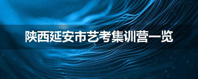 陕西延安市艺考集训营一览