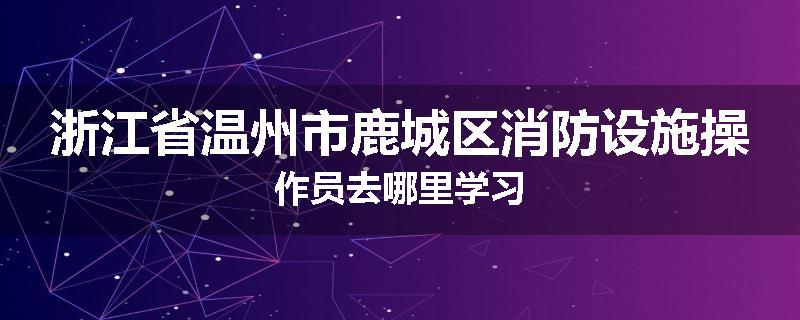 浙江省温州市鹿城区消防设施操作员去哪里学习