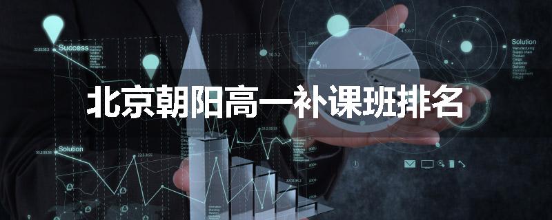北京朝阳高一补课班排名