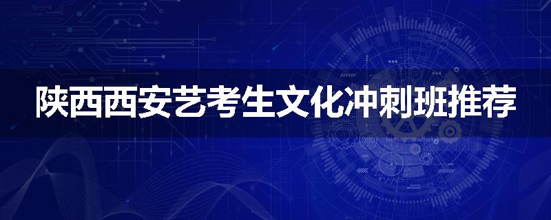 陕西西安艺考生文化冲刺班推荐