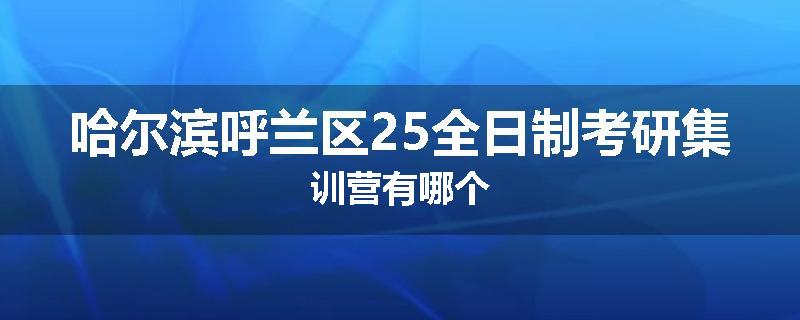 哈尔滨呼兰区25全日制考研集训营有哪个