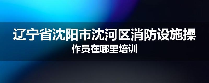 辽宁省沈阳市沈河区消防设施操作员在哪里培训