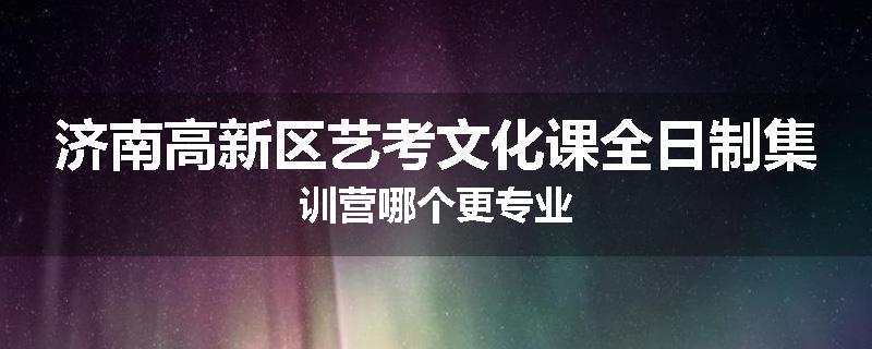 济南高新区艺考文化课全日制集训营哪个更专业