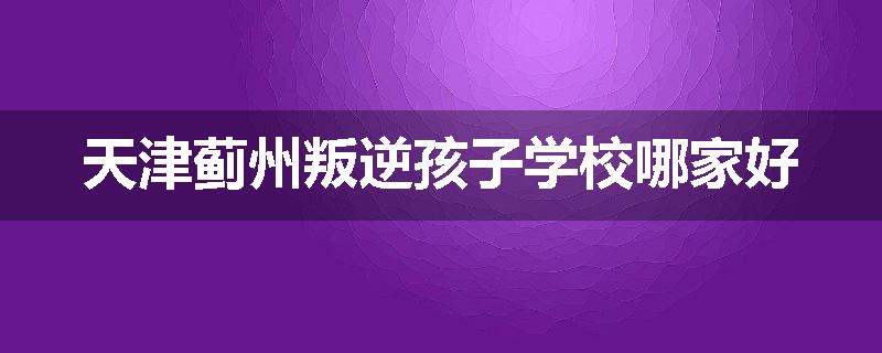 天津蓟州叛逆孩子学校哪家好