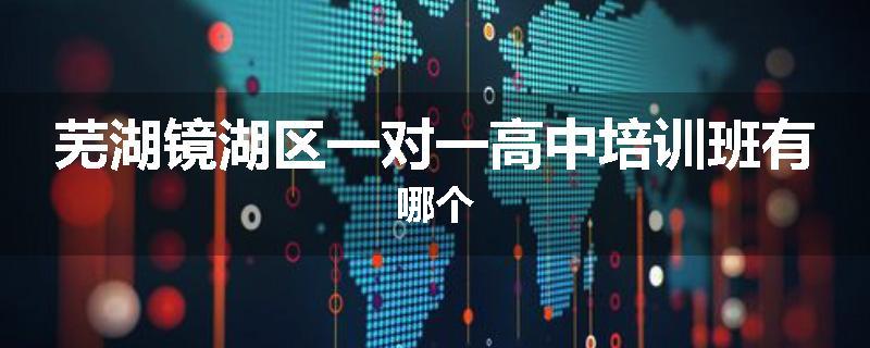 芜湖镜湖区一对一高中培训班有哪个
