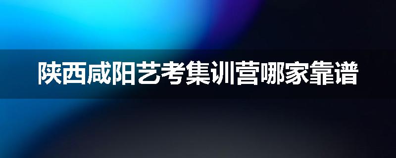 陕西咸阳艺考集训营哪家靠谱