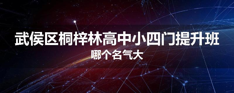武侯区桐梓林高中小四门提升班哪个名气大