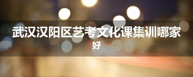 武汉汉阳区艺考文化课集训哪家好