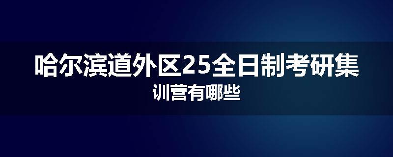 哈尔滨道外区25全日制考研集训营有哪些