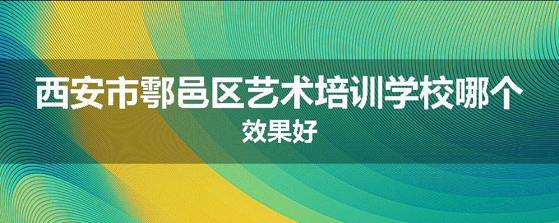 西安市鄠邑区艺术培训学校哪个效果好