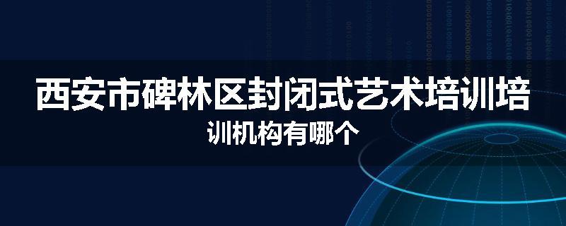 西安市碑林区封闭式艺术培训培训机构有哪个