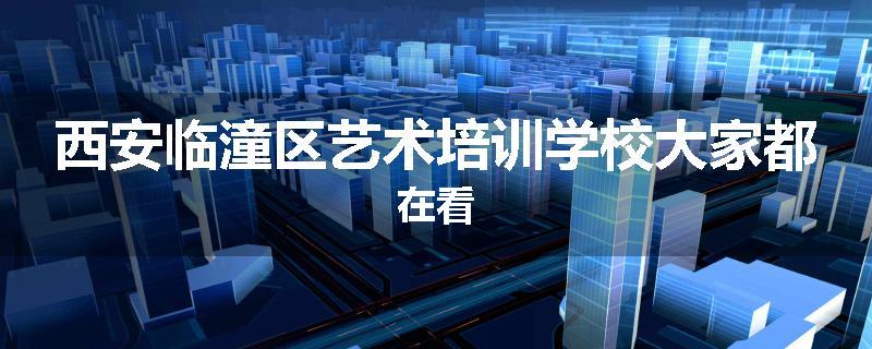 西安临潼区艺术培训学校大家都在看