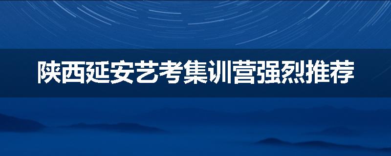 陕西延安艺考集训营强烈推荐