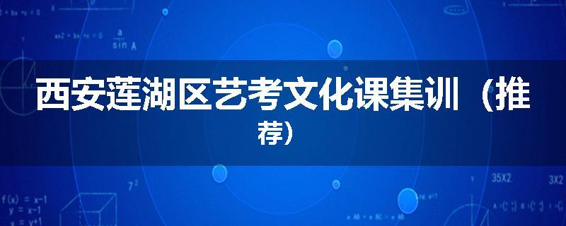 西安莲湖区艺考文化课集训（推荐）