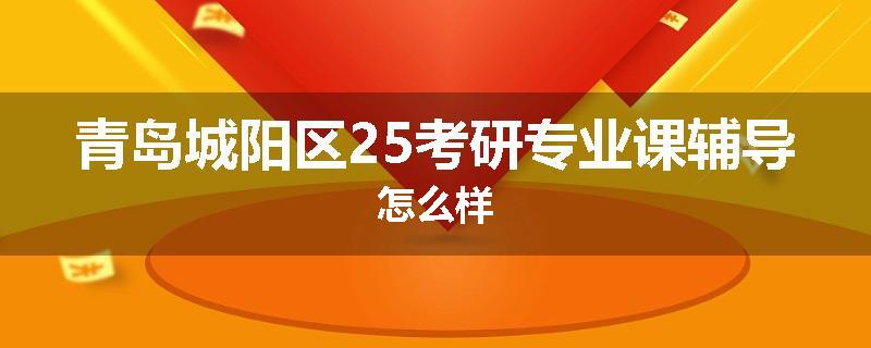 青岛城阳区25考研专业课辅导怎么样