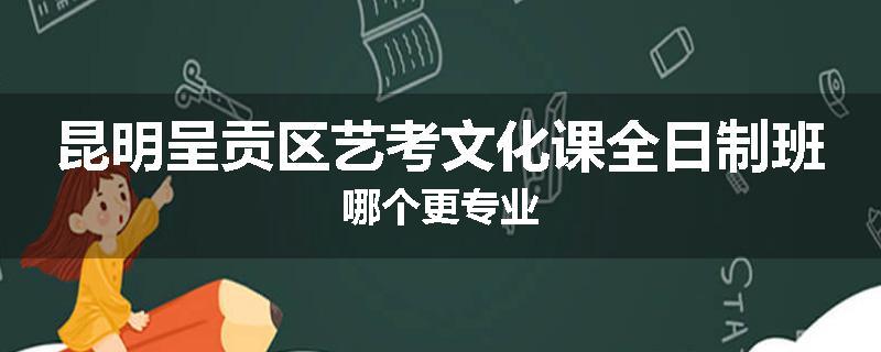 昆明呈贡区艺考文化课全日制班哪个更专业