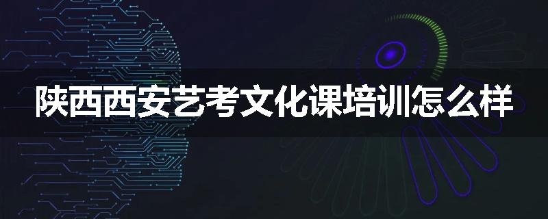 陕西西安艺考文化课培训怎么样