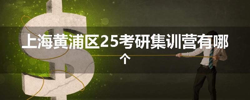 上海黄浦区25考研集训营有哪个