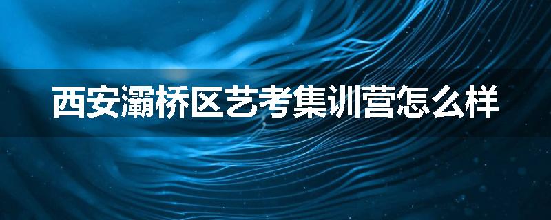 西安灞桥区艺考集训营怎么样