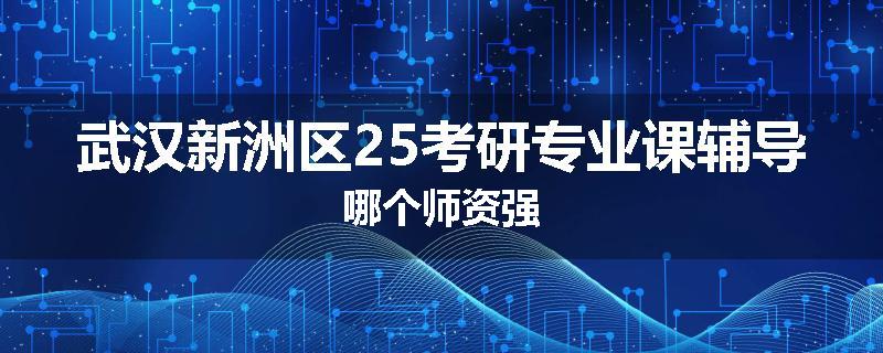 武汉新洲区25考研专业课辅导哪个师资强