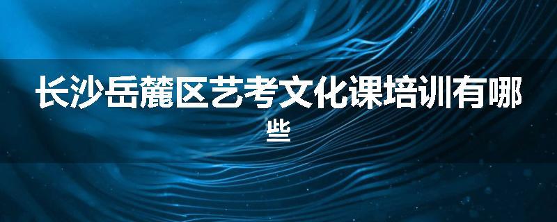 长沙岳麓区艺考文化课培训有哪些