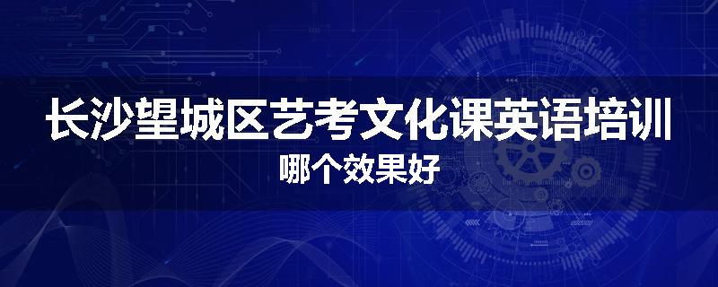 长沙望城区艺考文化课英语培训哪个效果好