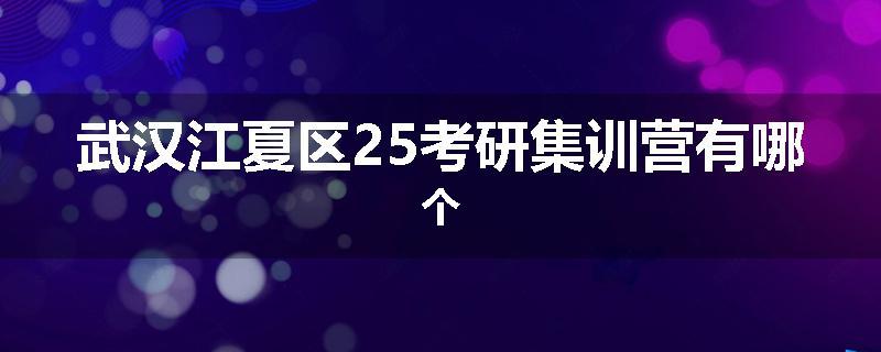 武汉江夏区25考研集训营有哪个