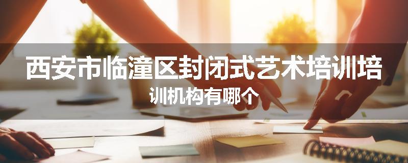西安市临潼区封闭式艺术培训培训机构有哪个