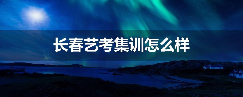 长春艺考集训怎么样