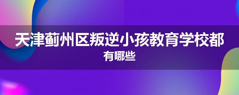 天津蓟州区叛逆小孩教育学校都有哪些
