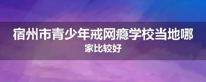 宿州市青少年戒网瘾学校当地哪家比较好