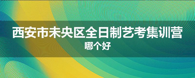 西安市未央区全日制艺考集训营哪个好