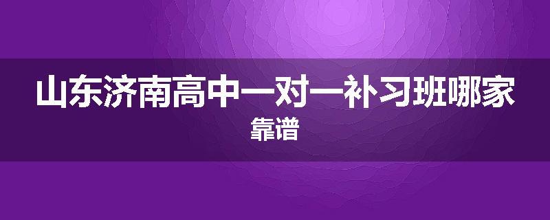 山东济南高中一对一补习班哪家靠谱