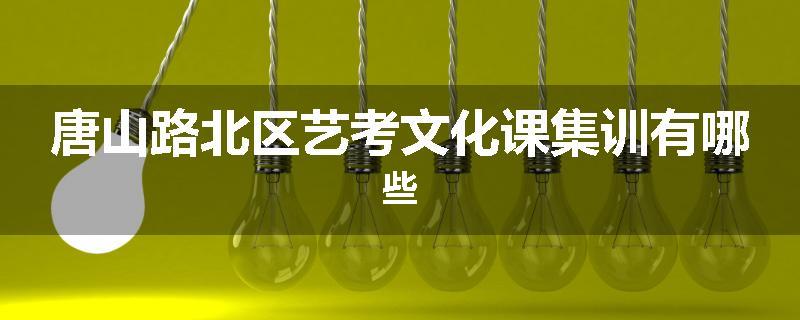 唐山路北区艺考文化课集训有哪些